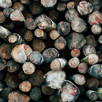 VPN分享 | 1月30日18.1M/S|免费Trojan节点/Singbox节点/SSR节点/Clash节点/V2ray节点/Shadowrocket节点节点推荐，在线Clash机场梯子购买推荐