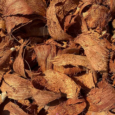 VPN分享 | 2月20日22.2M/S|免费V2ray节点/Trojan节点/Singbox节点/Shadowrocket节点/Clash节点/SSR节点节点推荐，在线Clash机场梯子购买推荐