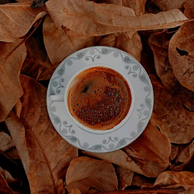 VPN分享 | 3月29日22.8M/S|免费Clash节点/V2ray节点/Singbox节点/SSR节点/Shadowrocket节点/Trojan节点节点推荐，在线Clash机场梯子购买推荐