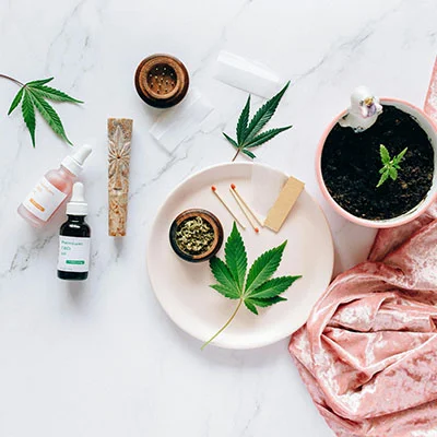 VPN分享 | 3月11日19.7M/S|免费Singbox节点/Shadowrocket节点/Trojan节点/V2ray节点/SSR节点/Clash节点节点推荐，在线Clash机场梯子购买推荐